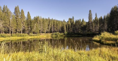 50741 Conifer Drive, Soda Springs, CA 95728 Photo