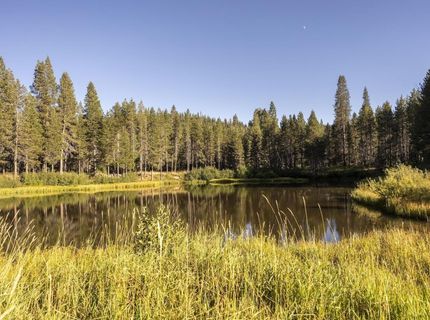 50741 Conifer Drive, Soda Springs, CA 95728 Photo