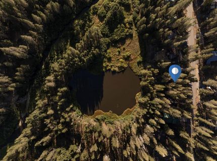 50741 Conifer Drive, Soda Springs, CA 95728 Photo