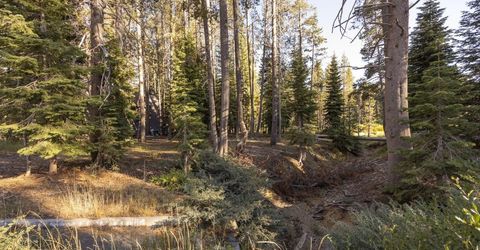 50741 Conifer Drive, Soda Springs, CA 95728 Photo