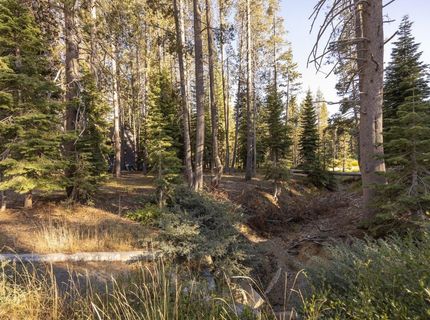 50741 Conifer Drive, Soda Springs, CA 95728 Photo