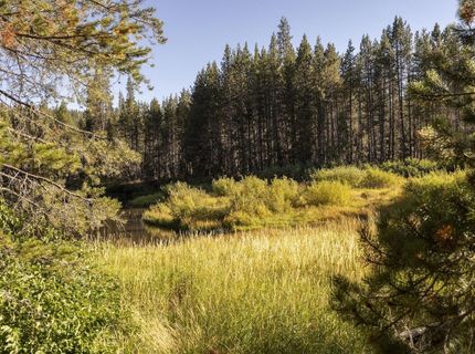 50741 Conifer Drive, Soda Springs, CA 95728 Photo