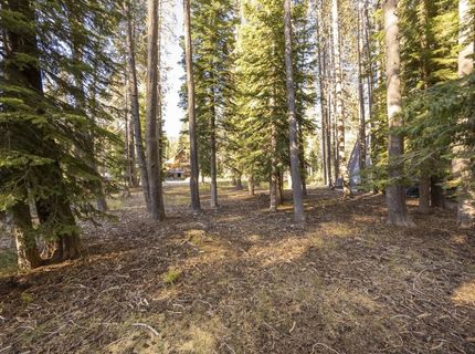 50741 Conifer Drive, Soda Springs, CA 95728 Photo