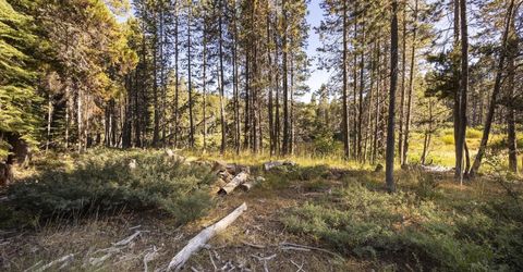 50741 Conifer Drive, Soda Springs, CA 95728 Photo