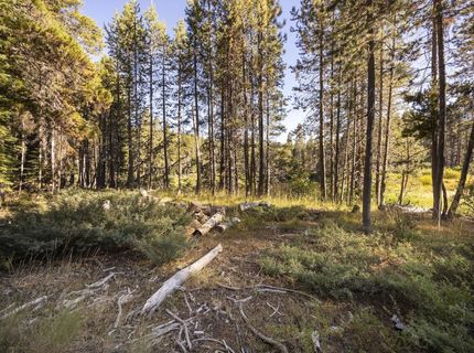 50741 Conifer Drive, Soda Springs, CA 95728 Photo