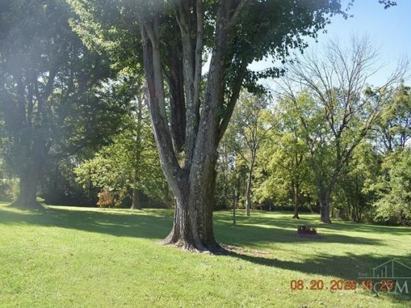 909 St Rt 321, Sardinia, OH 45171 Photo 3