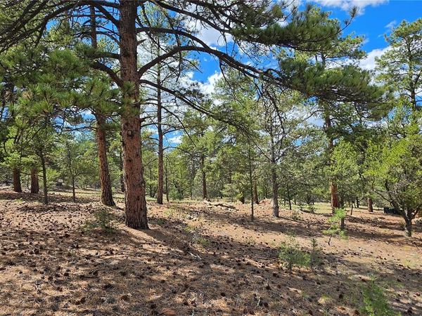 638 Keith Lane, Cotopaxi, CO 81223