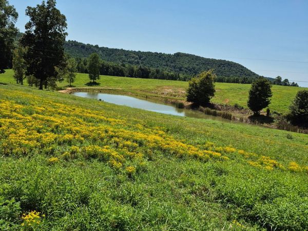 197 County Road 105 , Athens, TN 37303