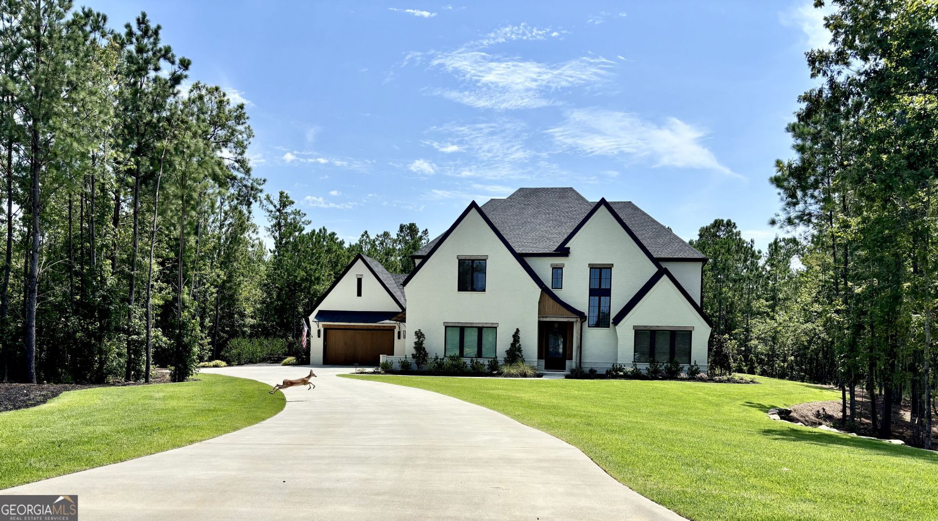 1 Sweet Rose Court, Newnan, GA 30265 Main Photo