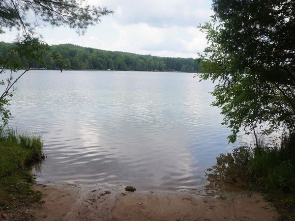 13992 Merrill Avenue, Kalkaska, MI 49646