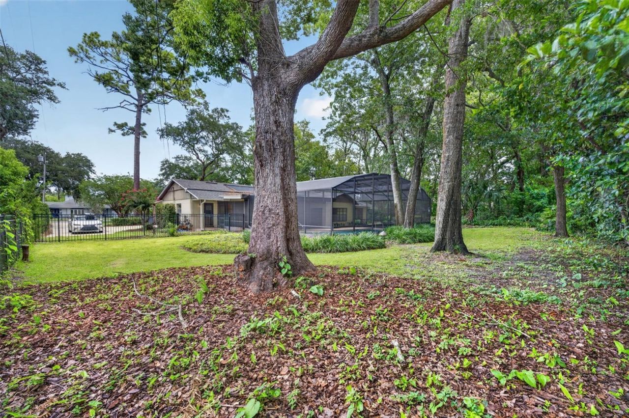 212 Flame Avenue , Maitland, FL 32751 Photo