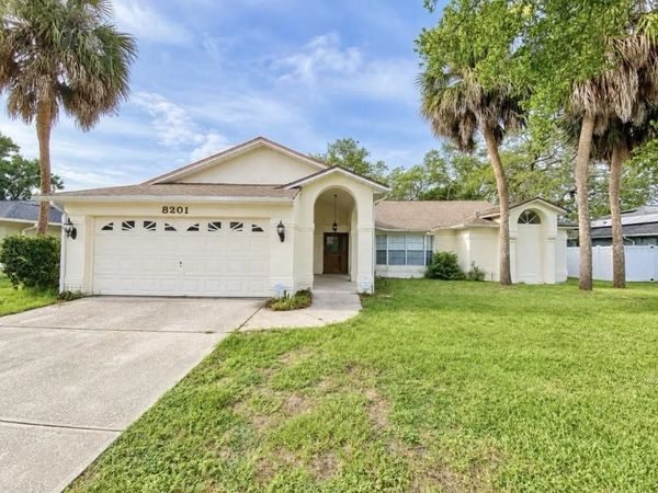 8201 RHANBUOY ROAD, SPRING HILL, FL 34606