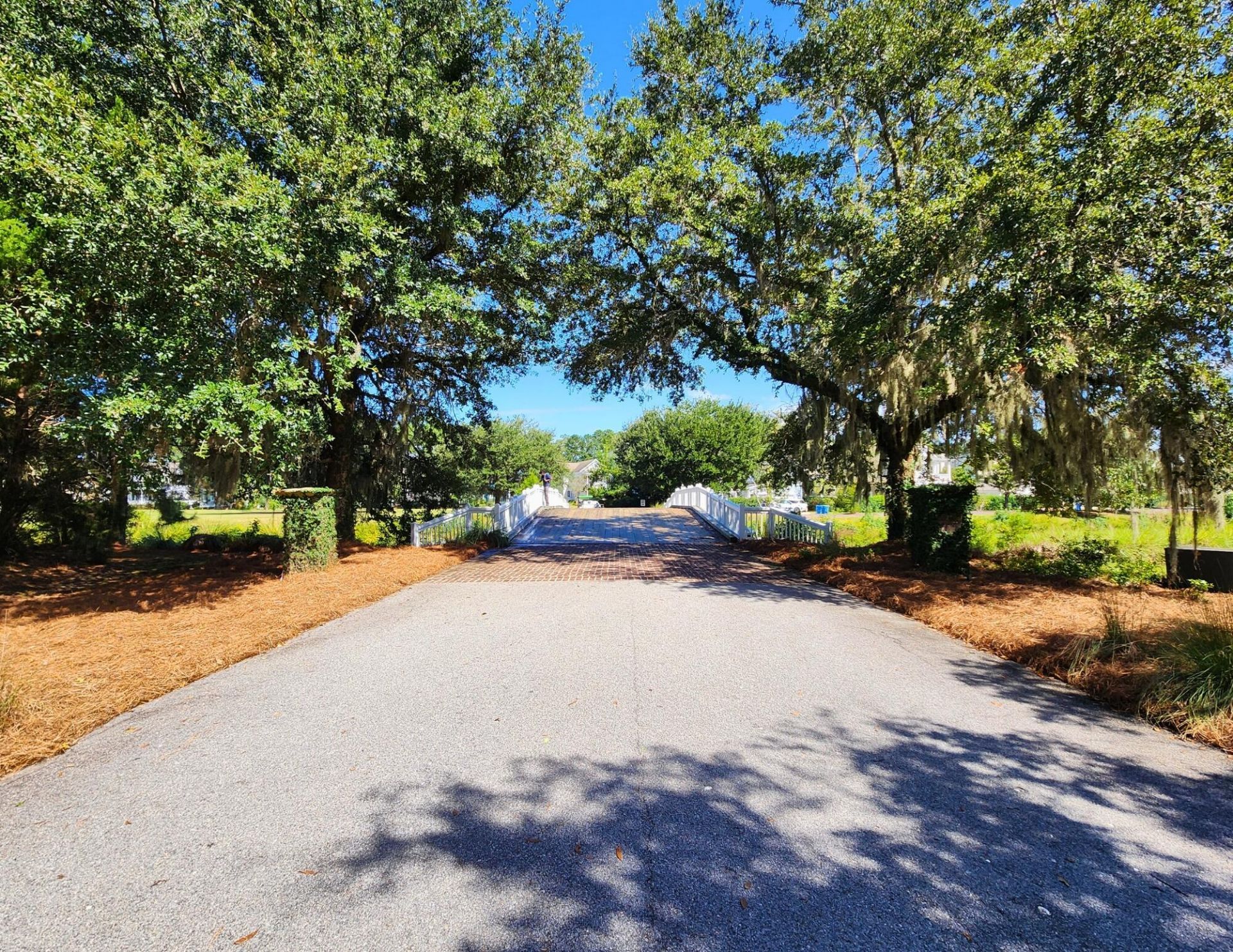 110 Great Heron Way Photo 48