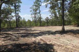 Lot 1 Patrick Highway  photo 4