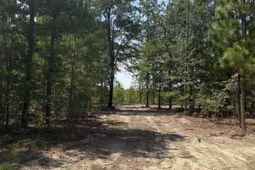 Lot 1 Patrick Highway  photo 4
