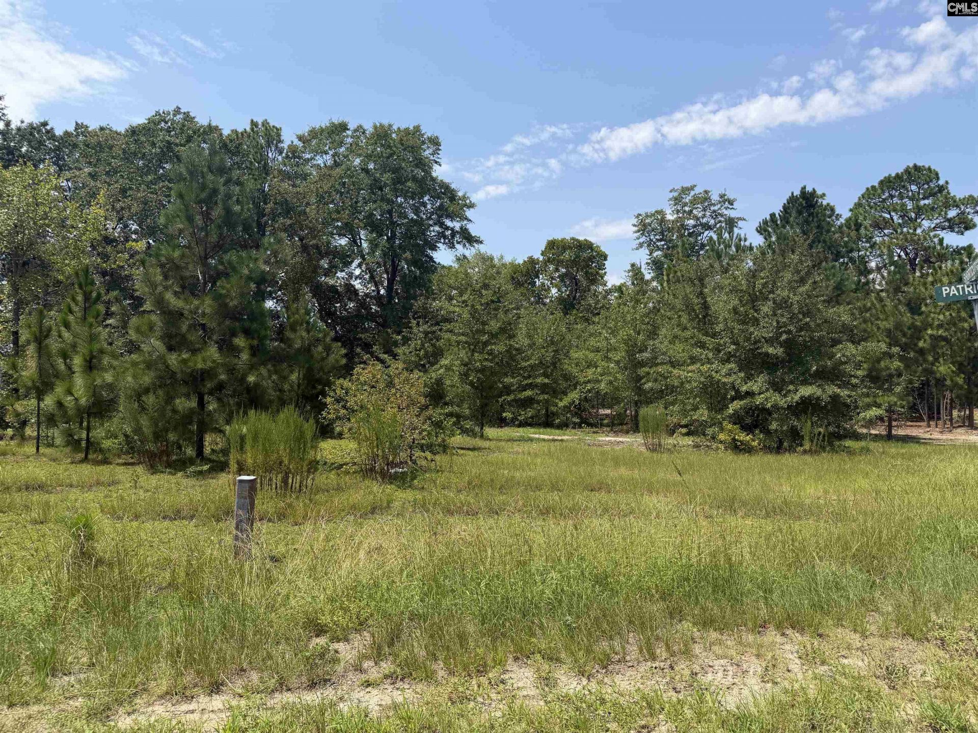 Lot 1 Patrick Highway  Photo 4