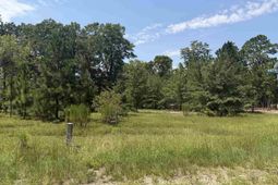 Lot 1 Patrick Highway  photo 4