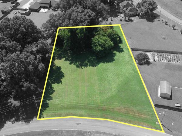 175 BRADMEADOW LN, Somerville, TN 38068