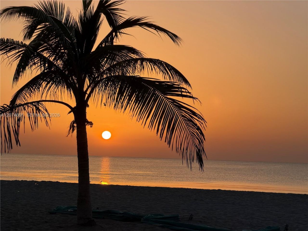 3111 N Ocean Dr , Unit 1611, Hollywood, FL 33019 Photo