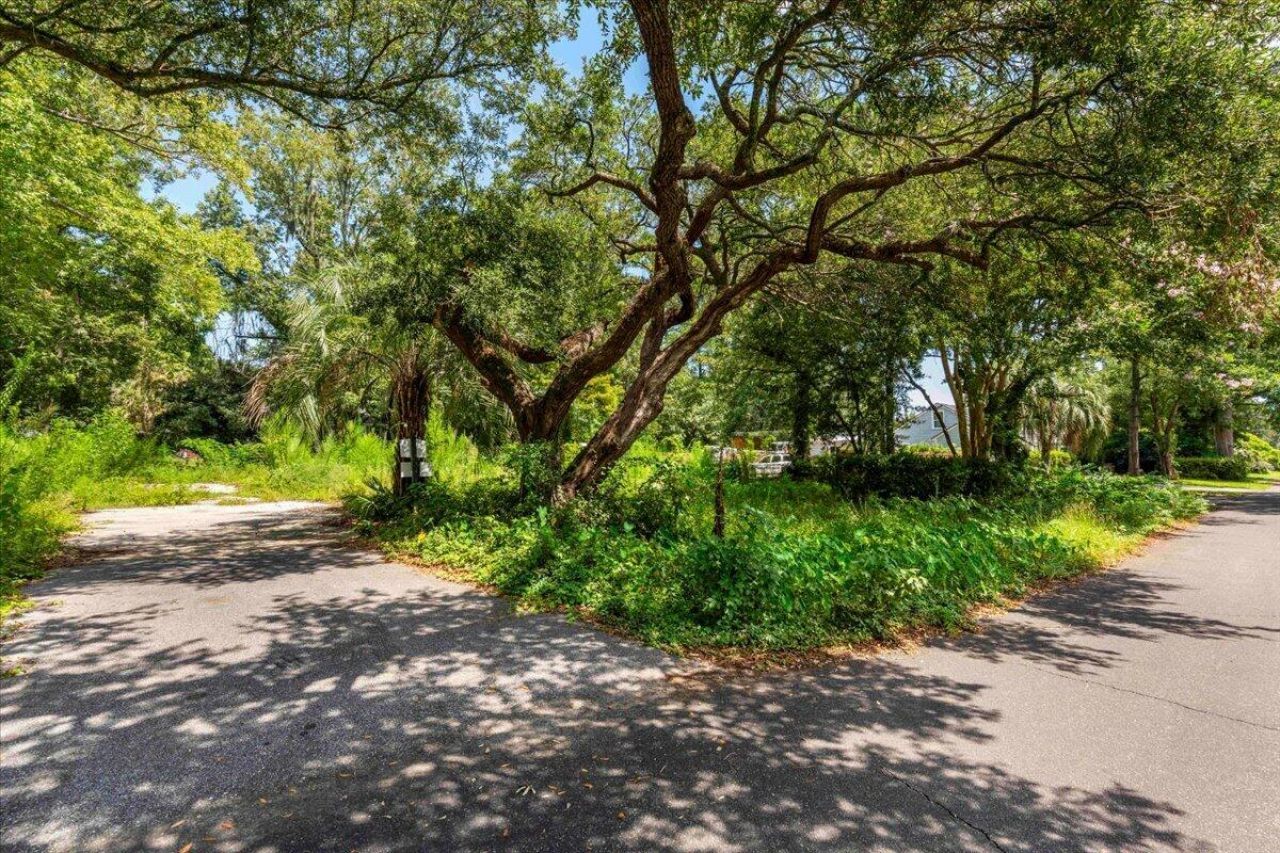 452 Lindberg Street Photo 5