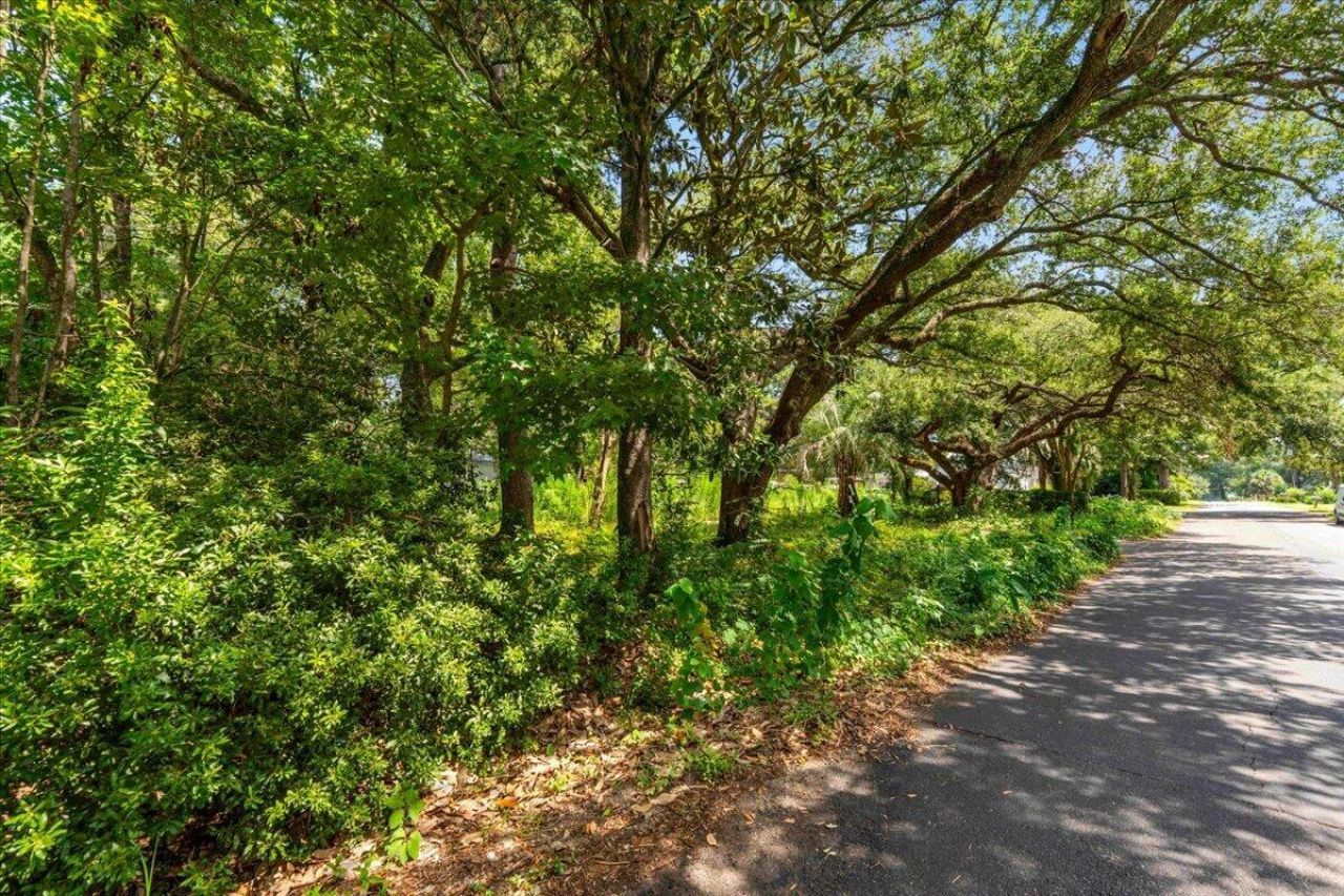 452 Lindberg Street Photo 7