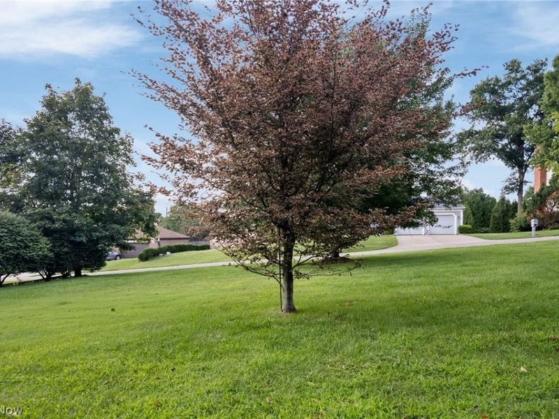 2317 Raintree Street NE, Canton, OH 44705 Photo 8