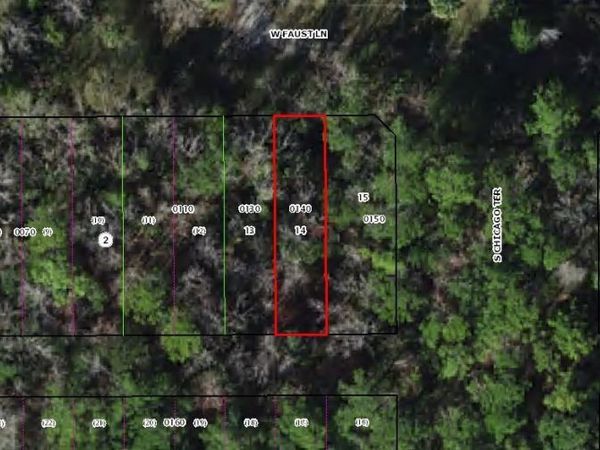 8714 W FAUST LANE , HOMOSASSA, FL 34448