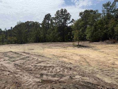 Lot 2 Patrick Highway , Unit 2, Hartsville, SC 29550