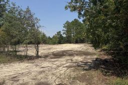 Lot 2 Patrick Highway  photo 4