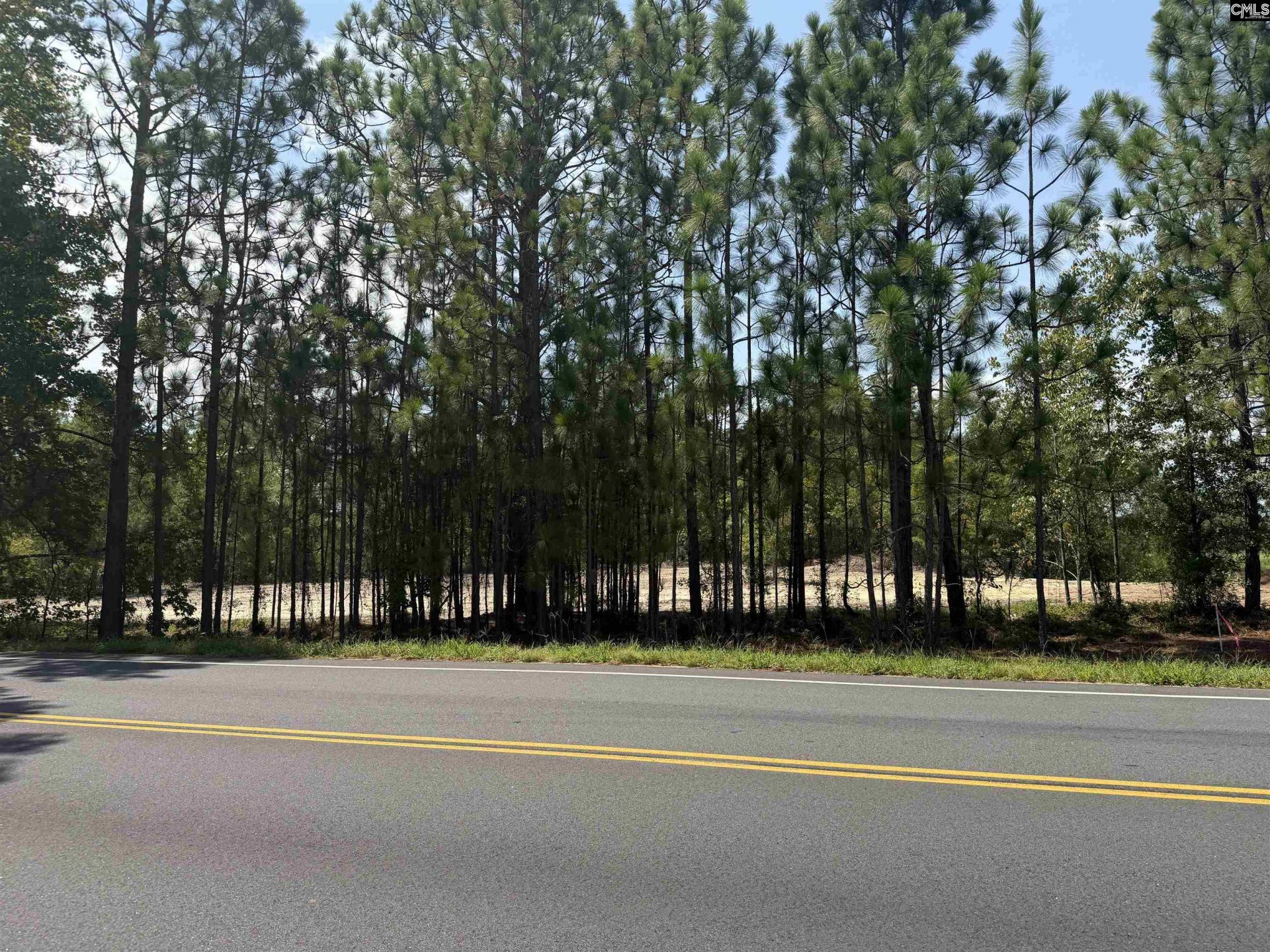 Lot 2 Patrick Highway  Photo 4