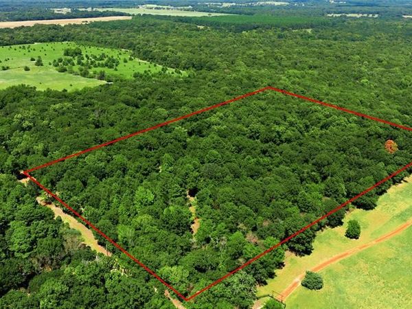 TBD CR 3613 , Murchison, TX 75758