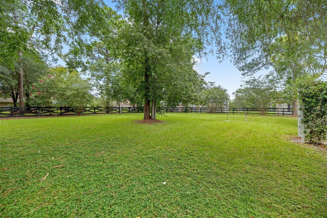 5592 NE 61st Avenue Road , Silver Springs, FL 34488 Photo