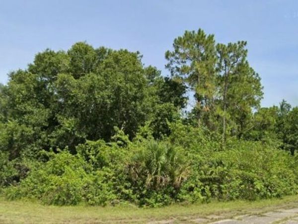 FLAMBEAU AVENUE , NORTH PORT, FL 34288