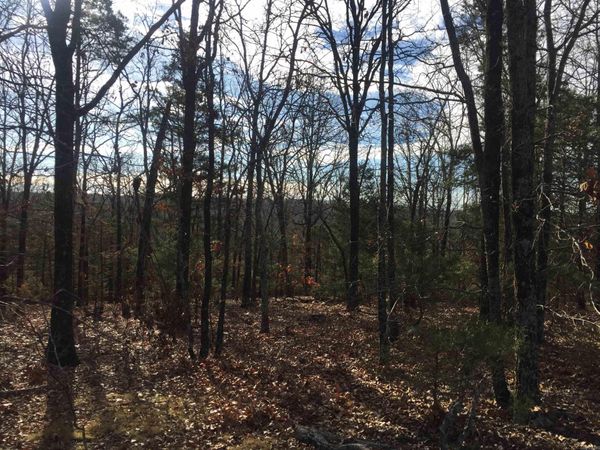 17 Alloway Lane , Bella Vista, AR 72715