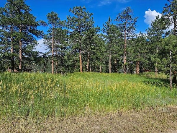 27903 Pine Drive , Evergreen, CO 80439