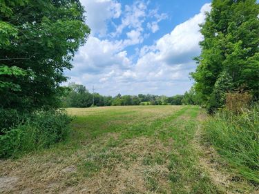 00 Musson Road , Oceola Township, Mi 48855