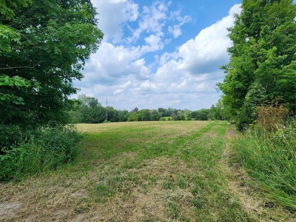 00 Musson Road , Oceola Township, Mi 48855
