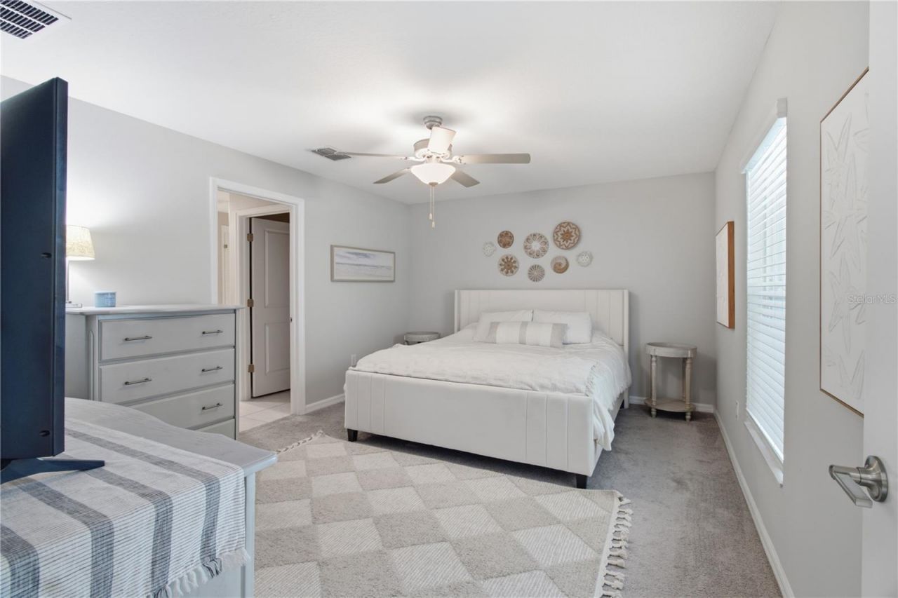 10331 Blue Plume Court , Riverview, FL 33578 Photo