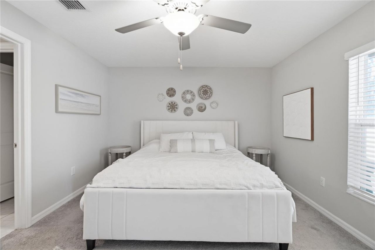 10331 Blue Plume Court , Riverview, FL 33578 Photo
