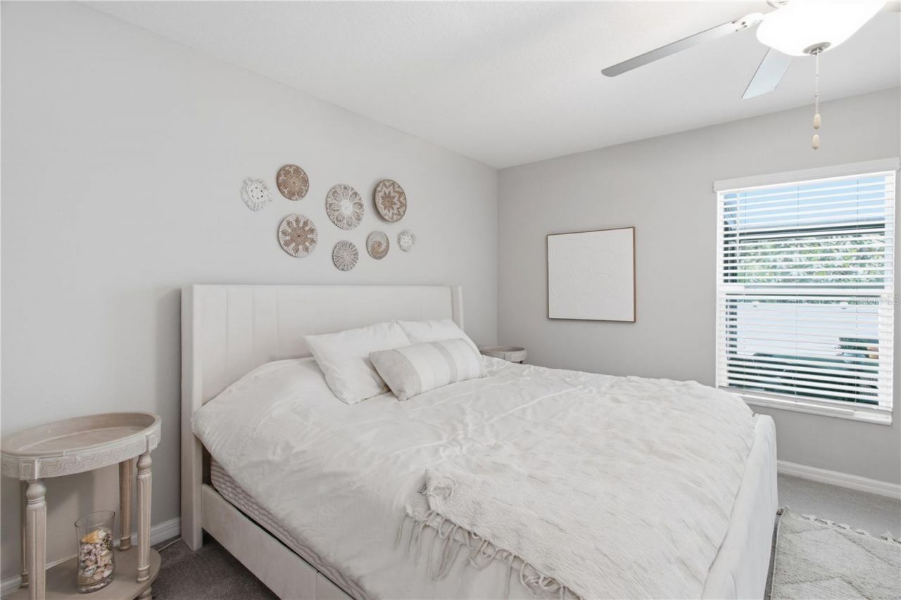 10331 Blue Plume Court , Riverview, FL 33578 Photo