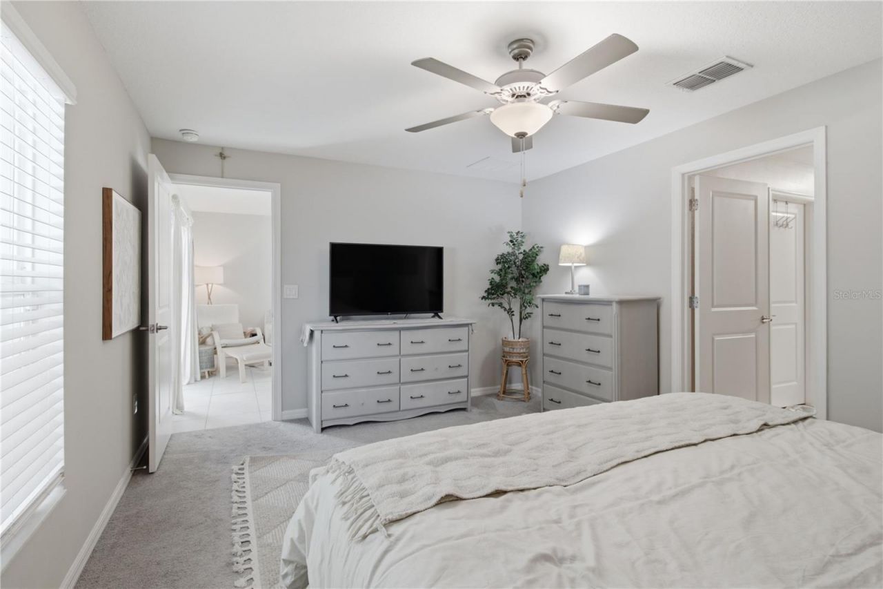10331 Blue Plume Court , Riverview, FL 33578 Photo