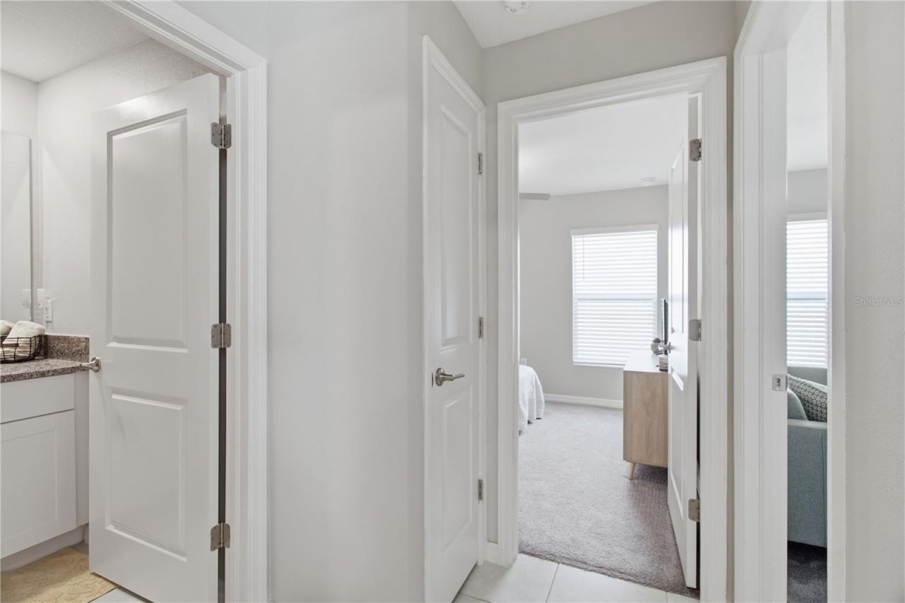 10331 Blue Plume Court , Riverview, FL 33578 Photo