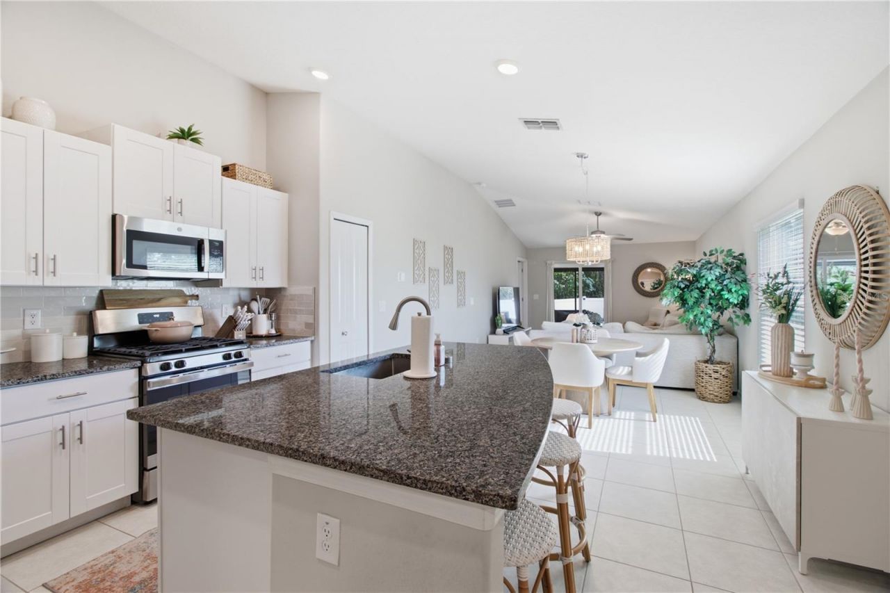 10331 Blue Plume Court , Riverview, FL 33578 Photo