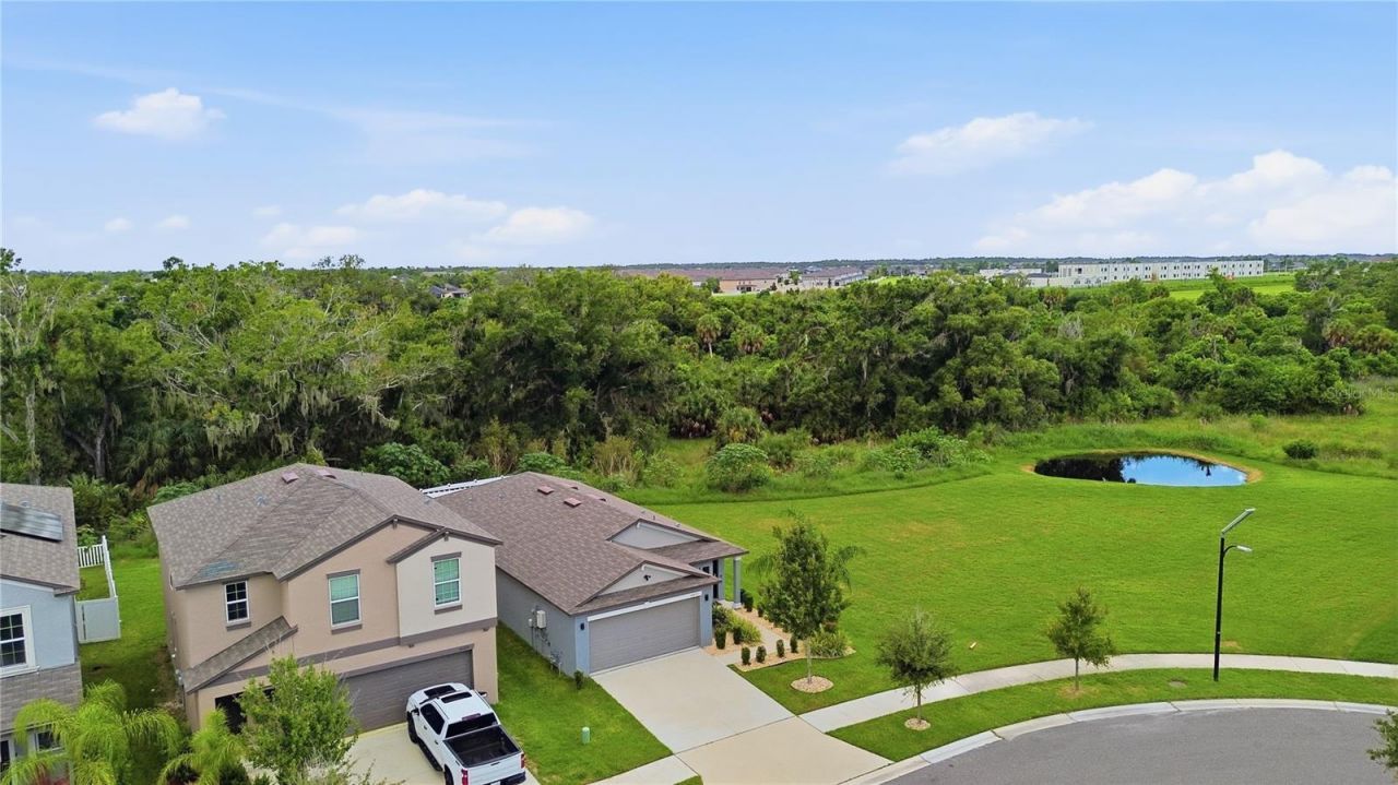 10331 Blue Plume Court , Riverview, FL 33578 Photo