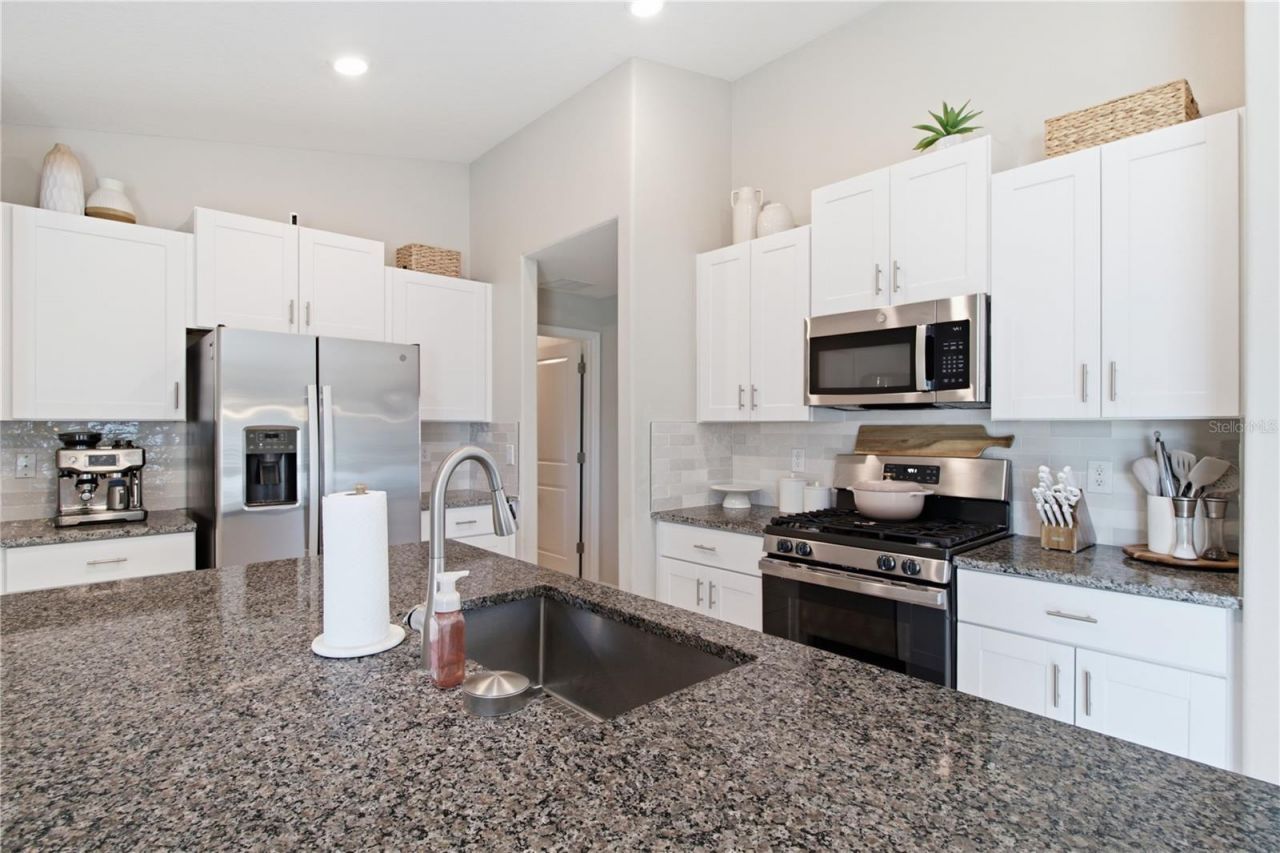 10331 Blue Plume Court , Riverview, FL 33578 Photo
