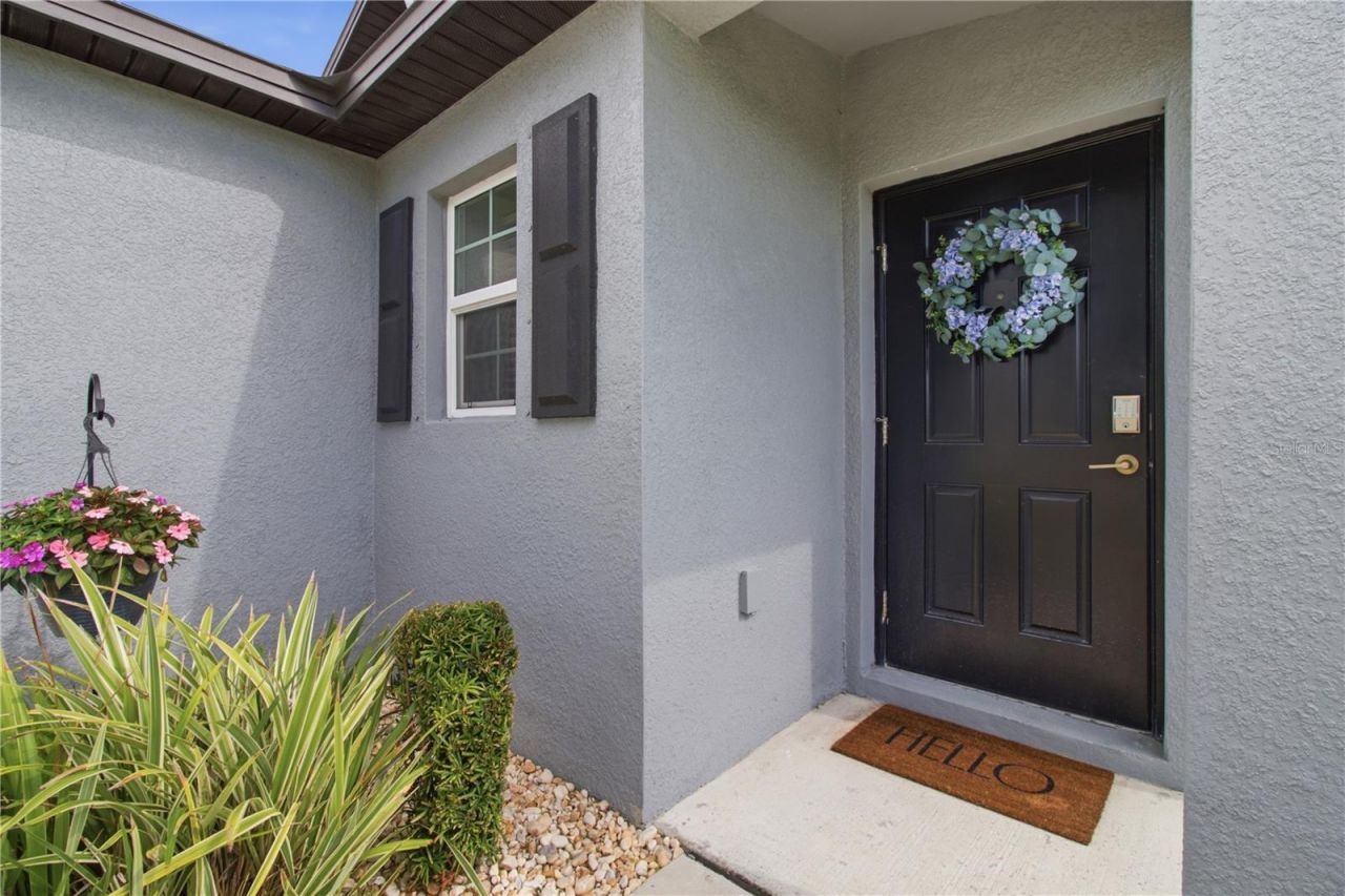 10331 Blue Plume Court , Riverview, FL 33578 Photo
