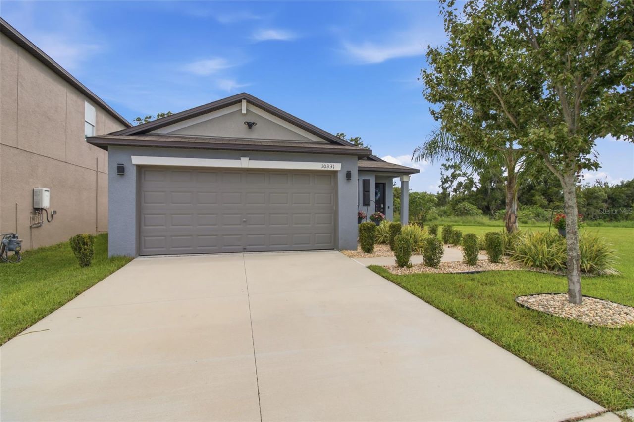 10331 Blue Plume Court , Riverview, FL 33578 Photo