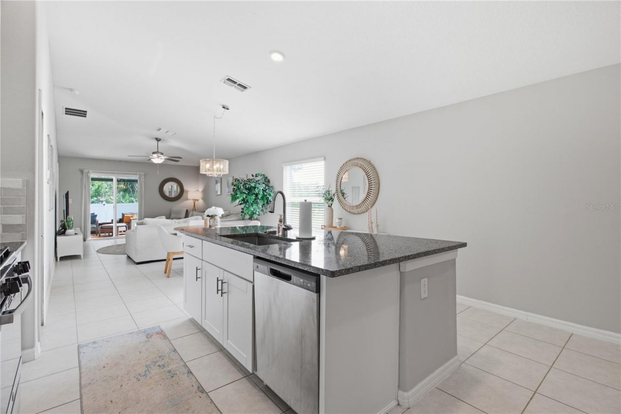 10331 Blue Plume Court , Riverview, FL 33578 Photo