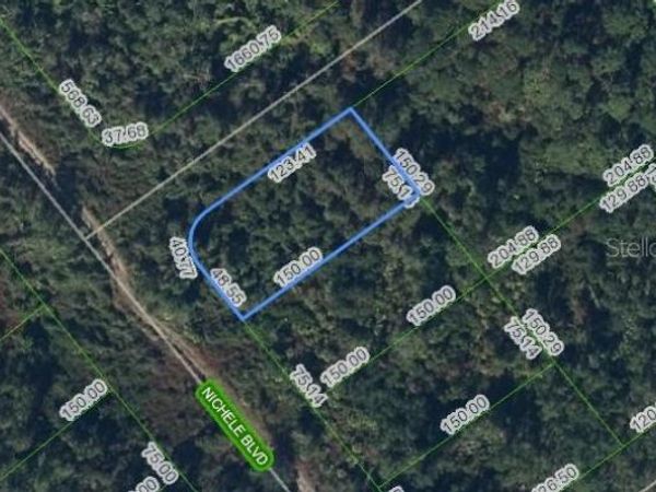 457 NICHELE BOULEVARD , LAKE PLACID, FL 33852