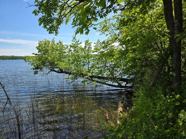 TBD N Moose Lake Road NE, Pennington, MN 56663
